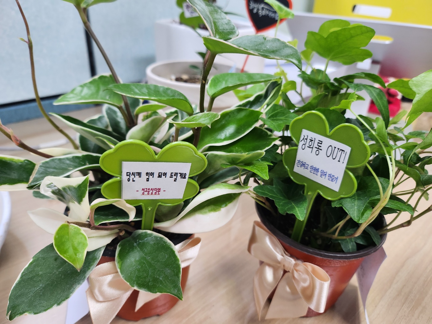 소식지3.jpg