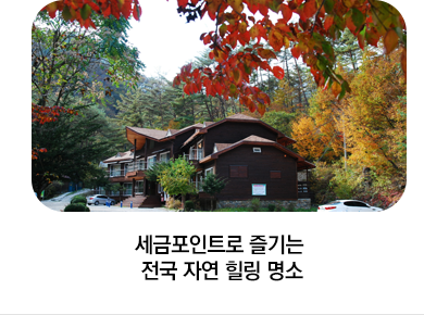 세금포인트로 즐기는 전국 자연 힐링 명소